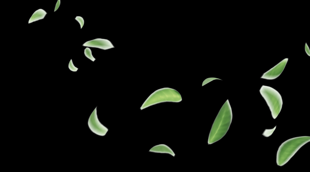 Imagem com fundo preto e folhas verdes caindo suspensas no ar, de forma descordenada