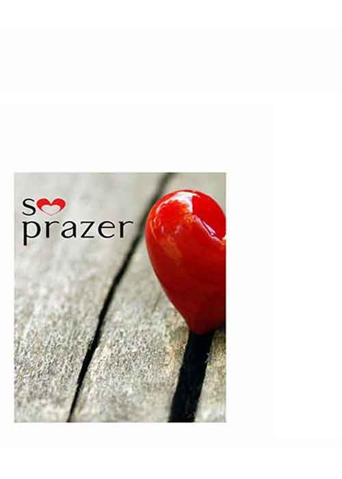 banner capa foto montagem com coração vermelho e logotipo so prazer e cia
