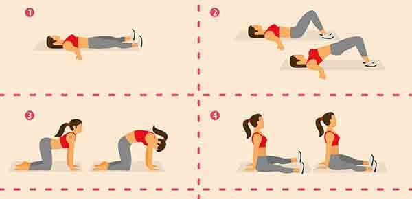ilustração com exercícios de alongamento e fortalecimento dos músculs do assoalho pélvico