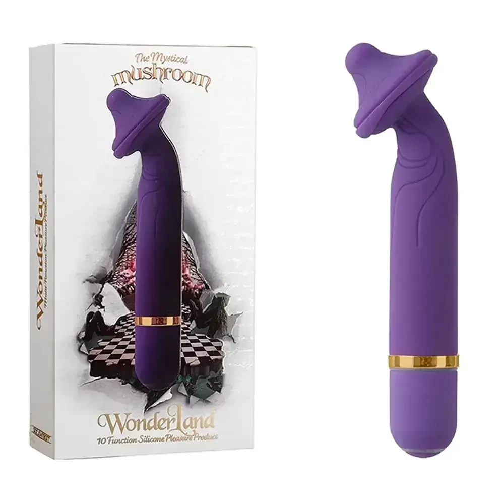 Imagem de vibrador feminino personal luxo 10 vibrações lilas