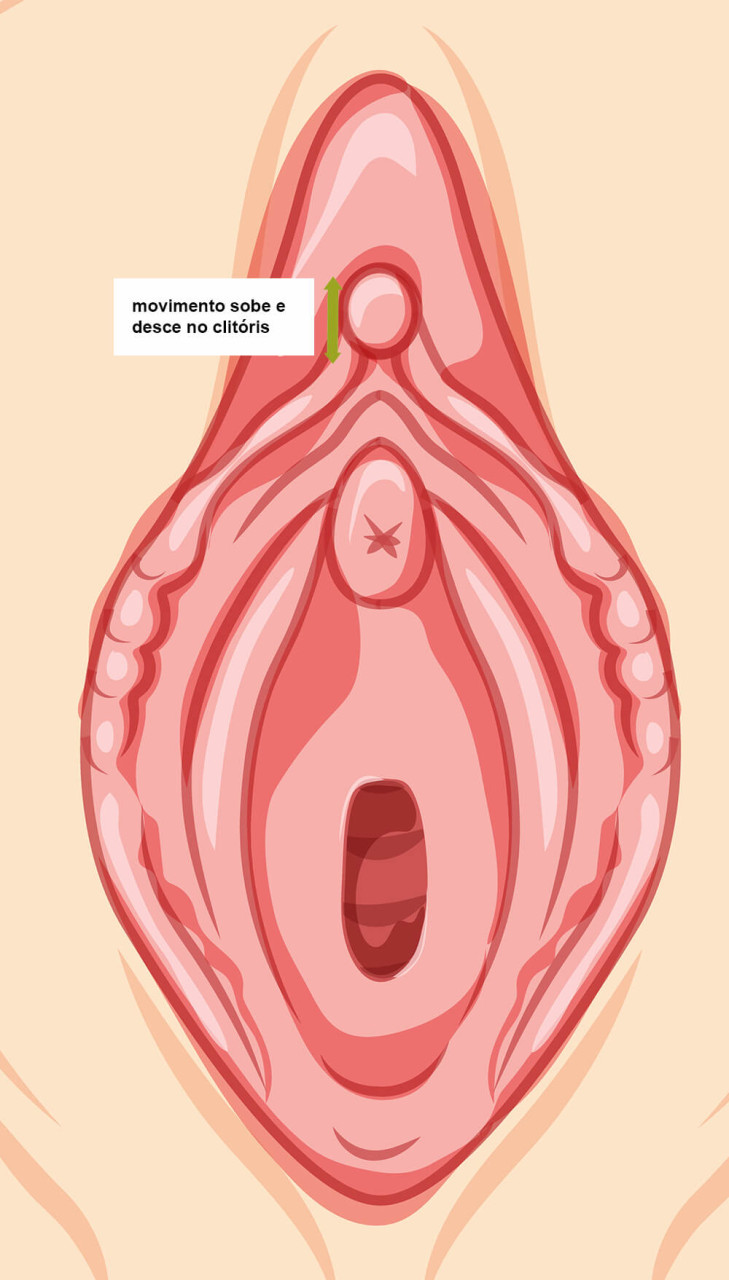 ilustração de uma vulva 