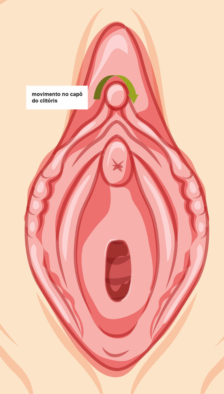 ilustração de vulva com seta verde curvada ao redor do capô do clitóris