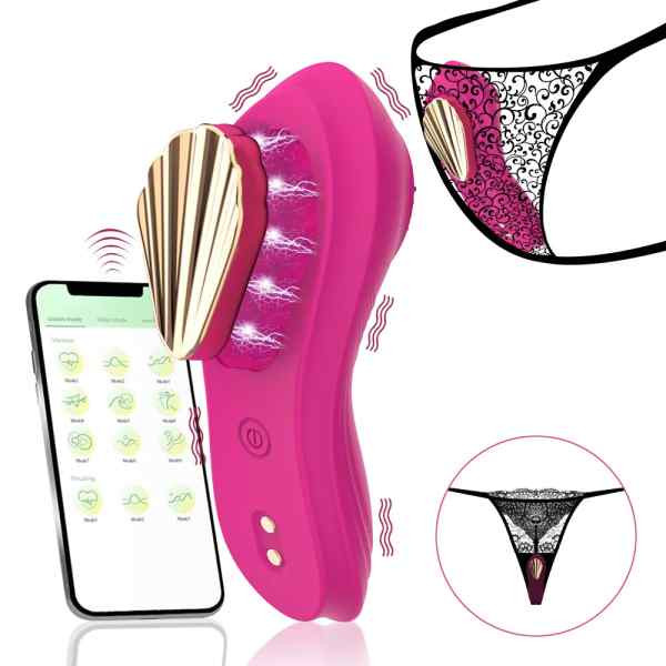 vibrador de calcinha por app