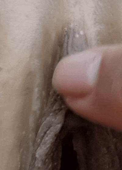 tecnica sobe e desce de estimulação do clitóris