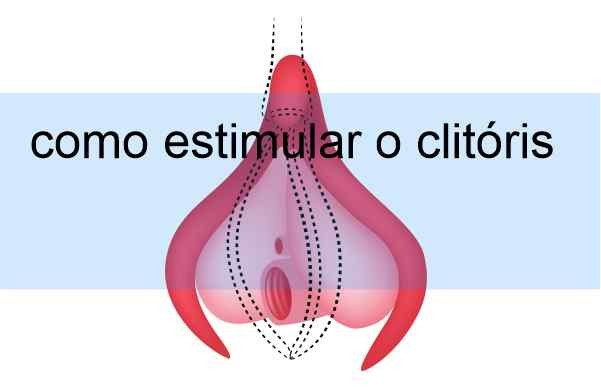 ilustração do clitóris