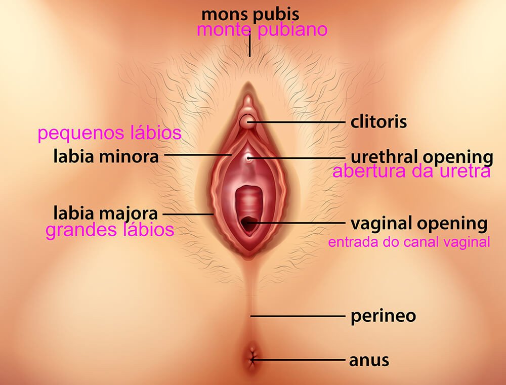 infográfico depositphotos