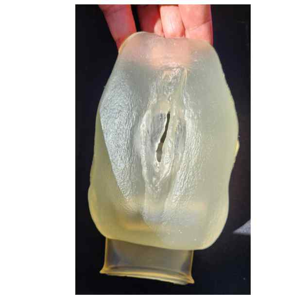 mão feminina segurando vagina de silicone transparente
